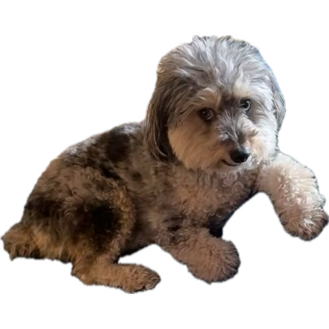 Example image
